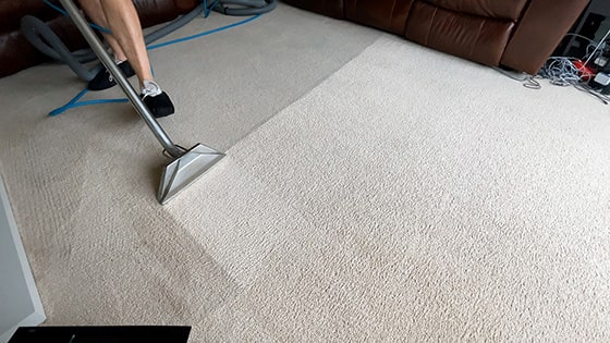 Carpet Cleaning Nottingham